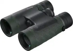 BURRIS BINOCULAR DROPTINE HD - 8X42 ROOF PRISM GREEN/GRAY
