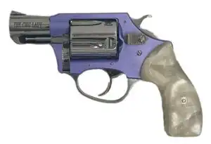CHARTER ARMS CHARTER CHIC LADY 38SPC LAV/SS