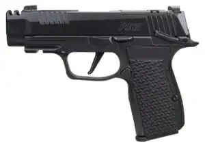 SIG SAUER P365 AXG LUXE 380ACP MS CA