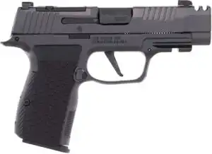 SIG P365 AXG LUXE 380ACP 3.1" - 2-PORT XRAY3 (3)12RD BLACK