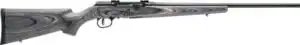 SAVAGE A17 17WSM SPORTER 22" - ACCU TGR BLU/GRY LAM SPORTER