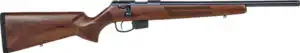 ANSCHUTZ 1761 D HB 17HMR - 18" TB BLUED/WALNUT CLASSIC