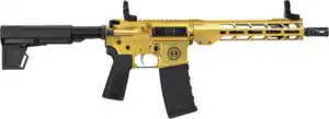 HIPOINT PISTOL HP-15 300 AAC - 10.5" 30RD BLADE BRACE GOLD
