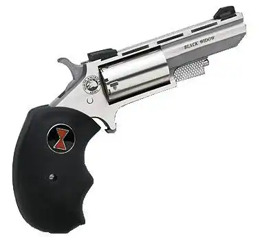 NORTH AMERICAN ARMS 22M/22L CON 2" BLK WIDOW SS FS