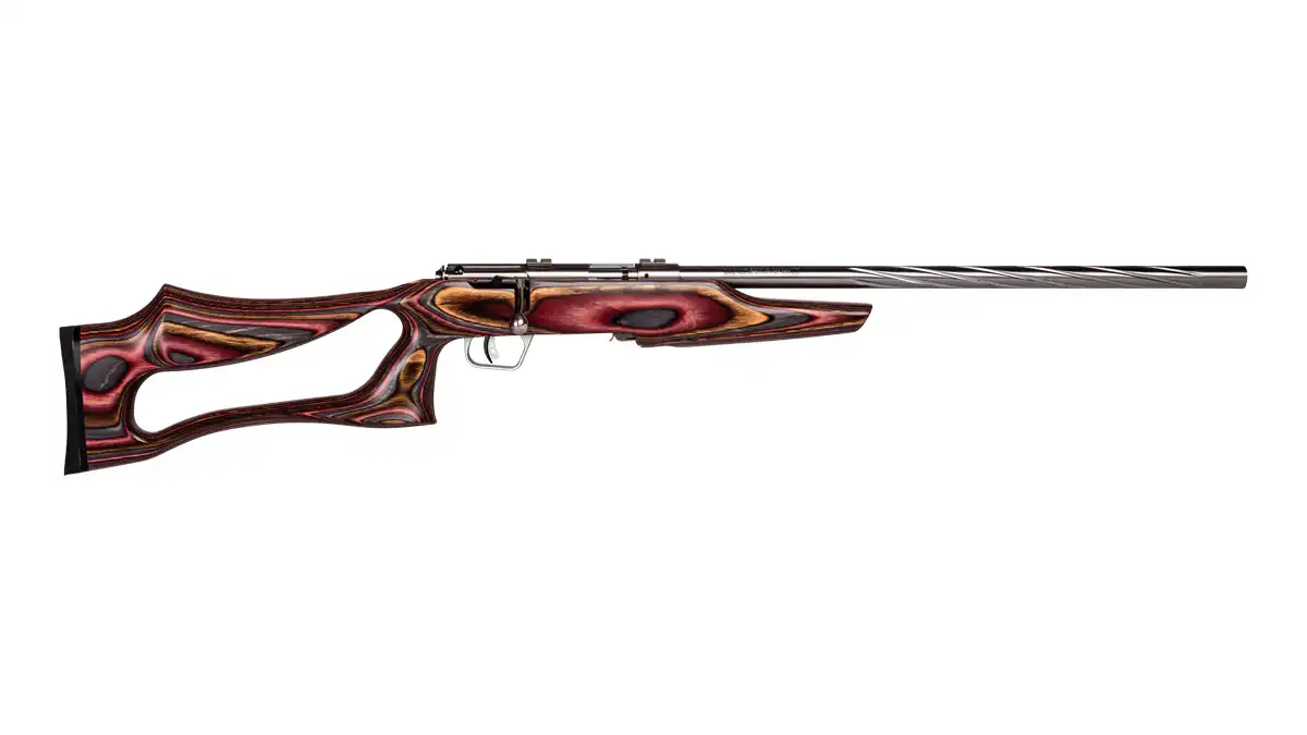 SAVAGE ARMS MARK II 22LR BOLT SS/EVO LAM #