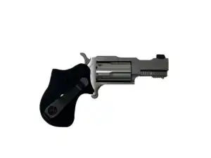 NORTH AMERICAN ARMS 22MAG 1-5/8" RULE 1 SS XS SGHT