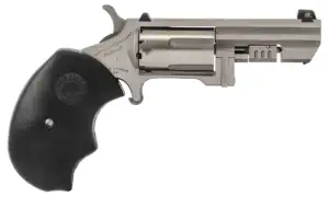 NORTH AMERICAN ARMS RECLUSE 22MAG 2" SS XS