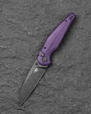 Bestech Snakebird - Purple G10, 14C28N Blade.  BG58E