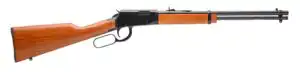 ROSSI RIO BRAVO 22WMR BL/WD 20"    #