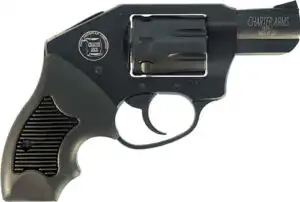 CHARTER ARMS THE WALKER 22 MAG - 8-SHOT RUBBER GRIPS BLACK