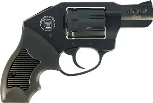 CHARTER ARMS THE WALKER 22 MAG - 8-SHOT RUBBER GRIPS BLACK