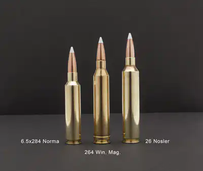 NOSLER TROPHY GRADE LR 26 - NOSLER 142GR ABLR 20RD 10BX/CS